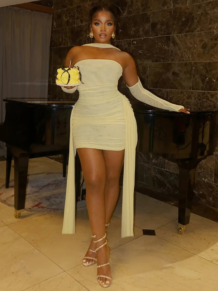 See Through Ruched Side Dress